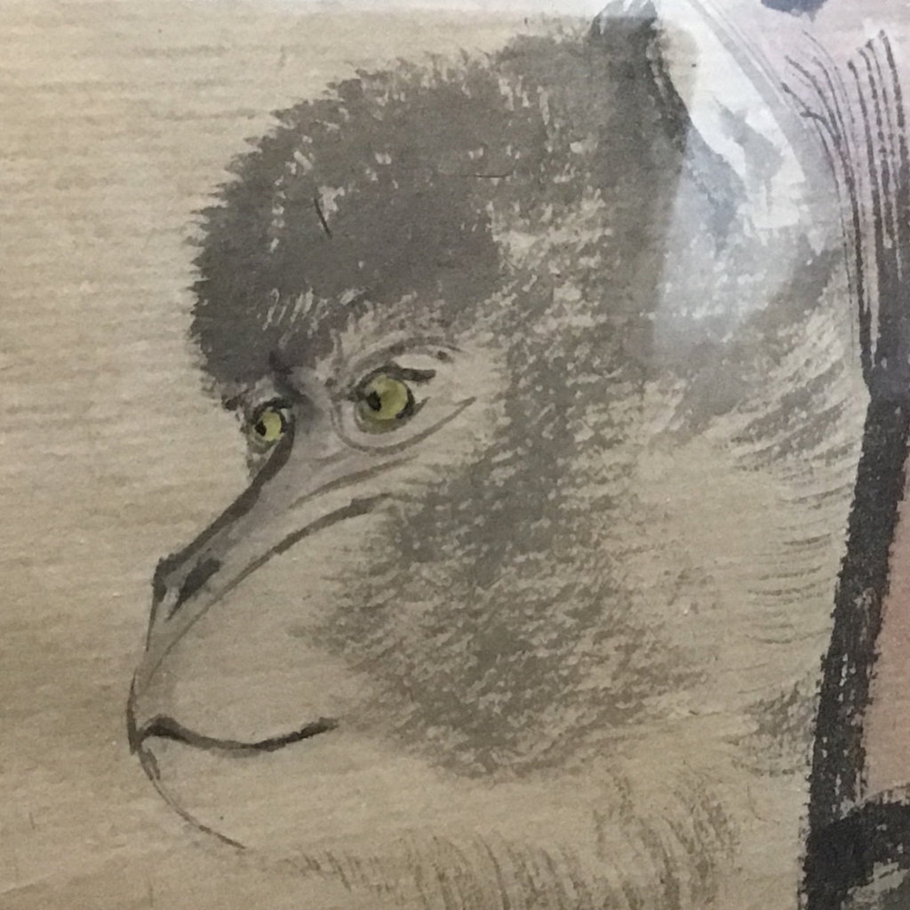 Framed Watercolor Monkey on Rice Paper - image 1 of 5