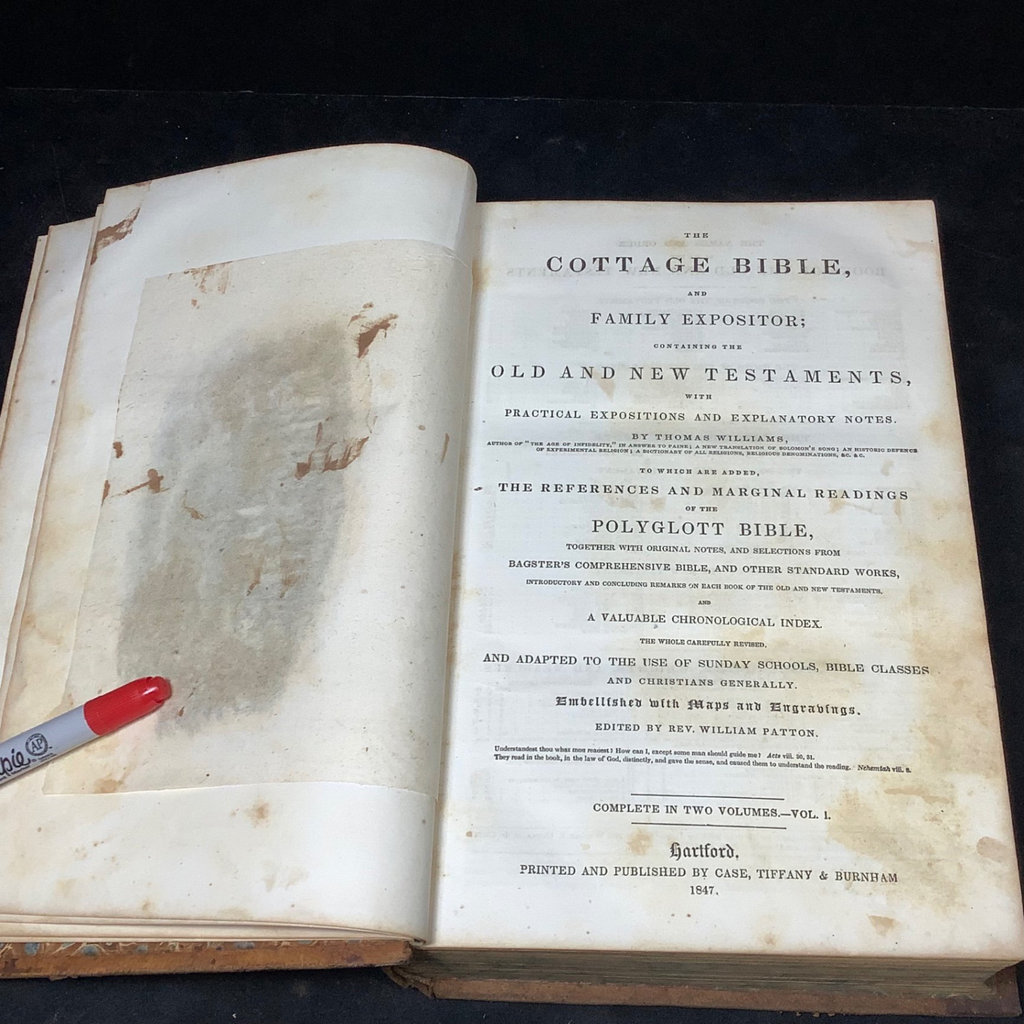 1847 Cottage Bible Vol I & II - image 7 of 20