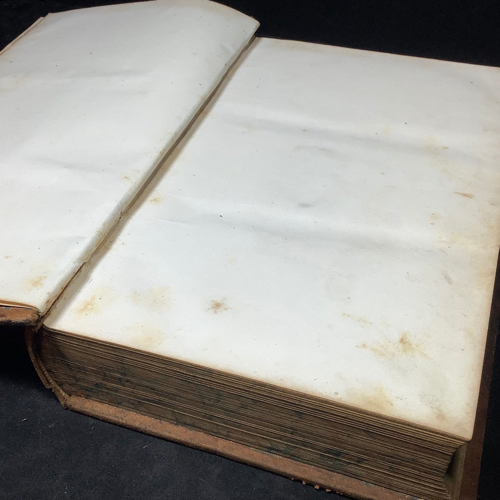 1847 Cottage Bible Vol I & II - image 6 of 20