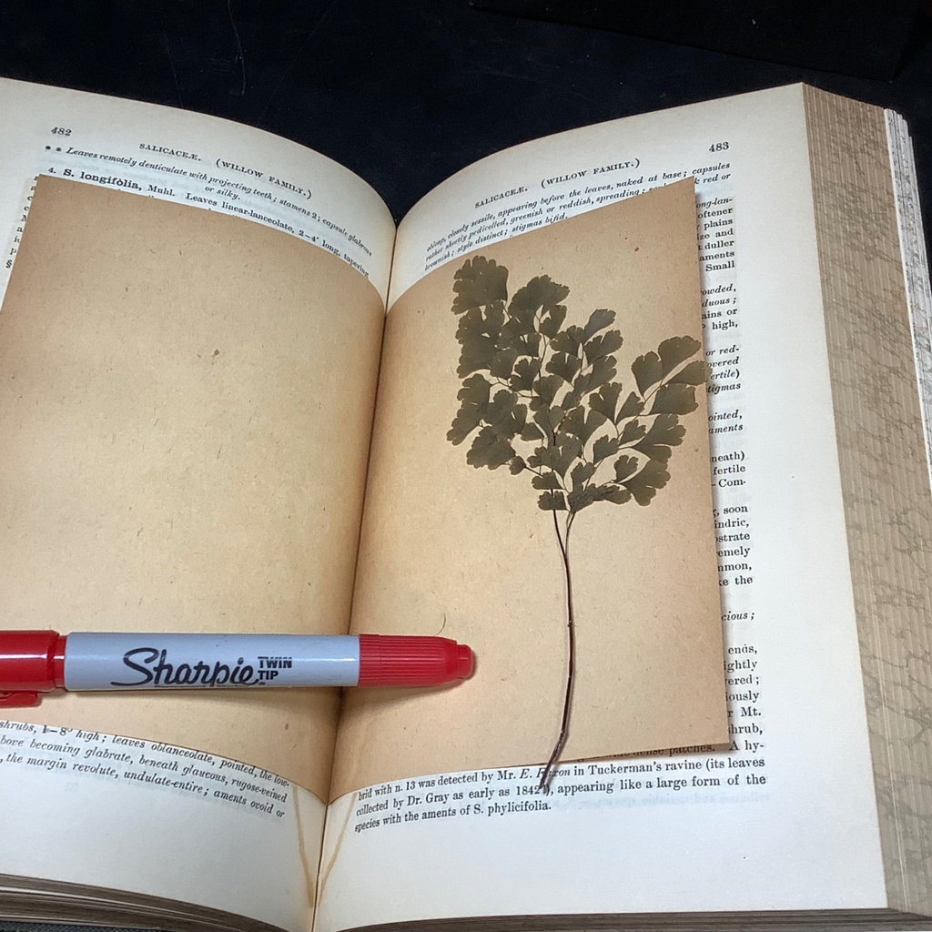 Antique Science & Nature Books - image 9 of 19