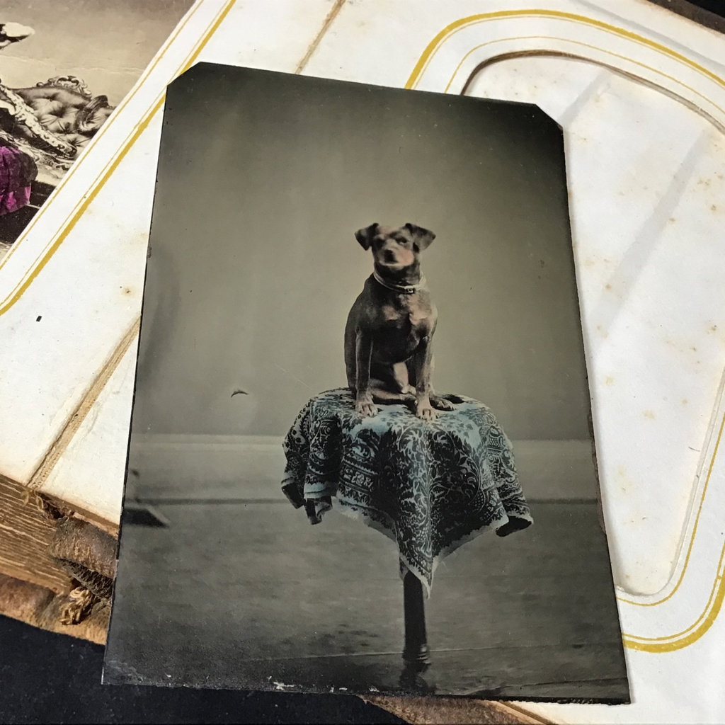 Antique Photos & Ephemera - image 7 of 20