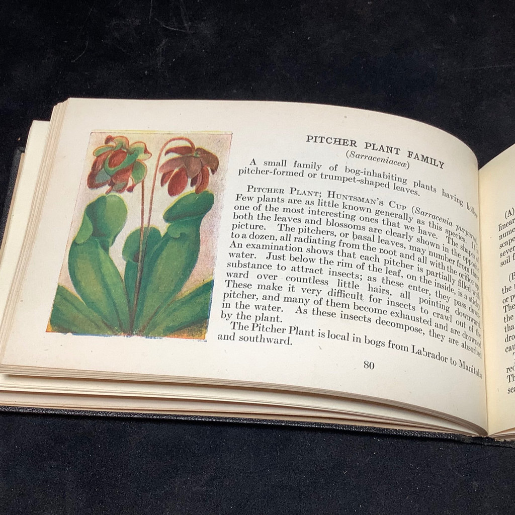 Antique Science & Nature Books - image 12 of 19