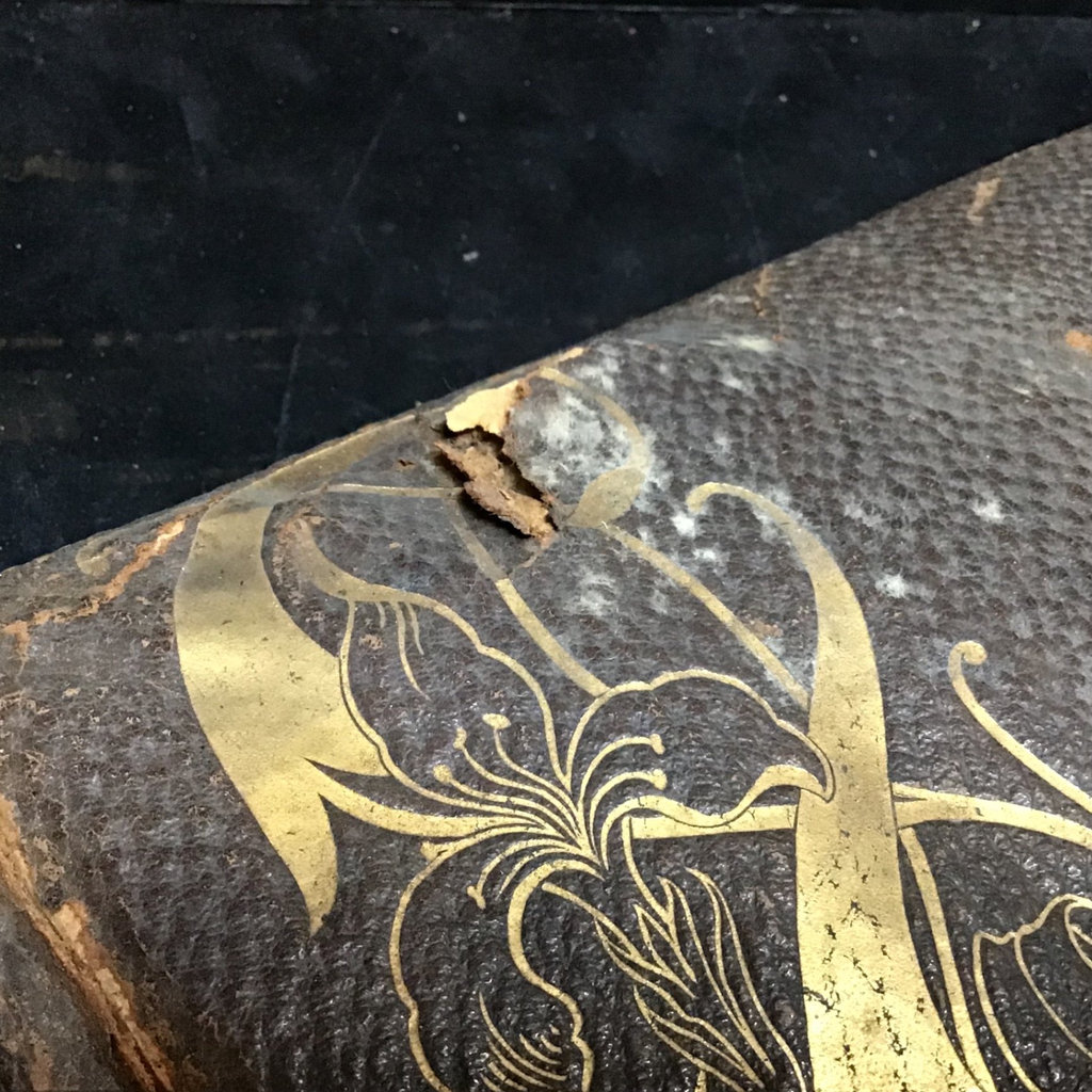 Antique Boston MA Ephemera - image 11 of 18