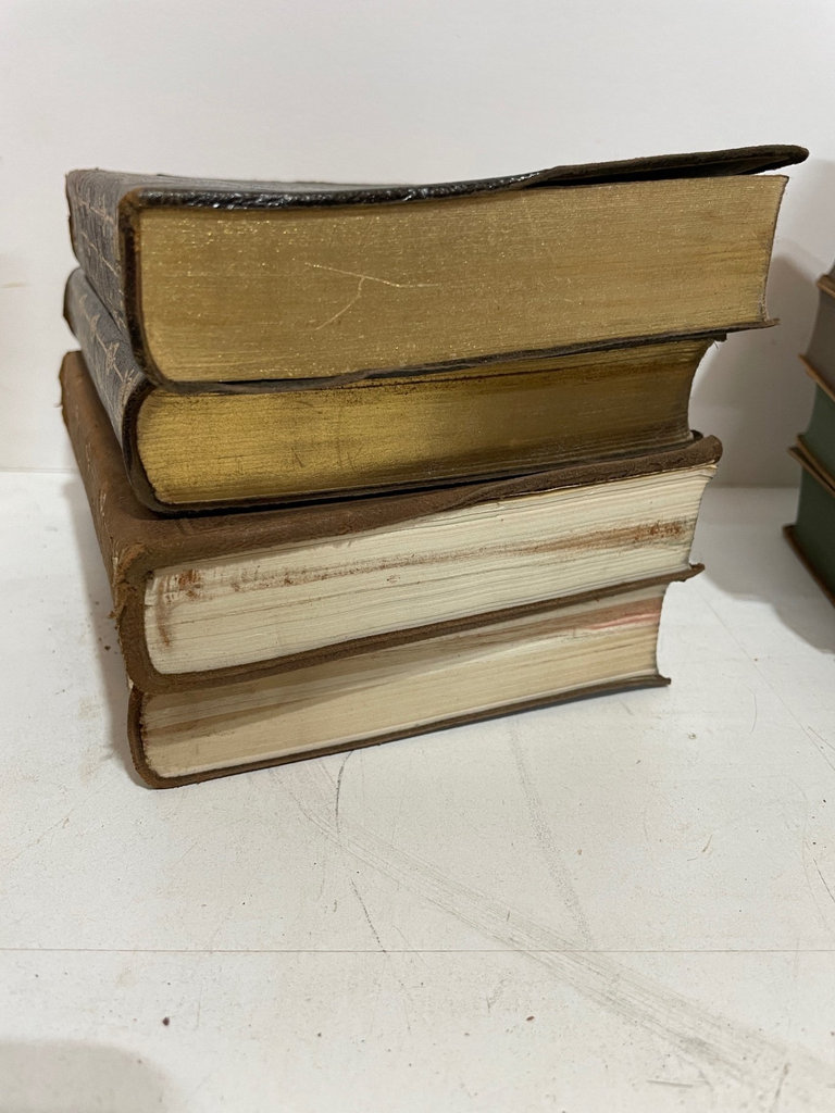 Famous One-Volume Editions, 1920s - image 11 of 22