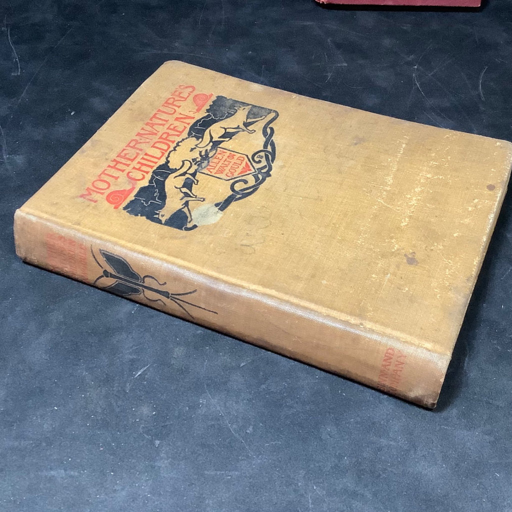 Antique Science & Nature Books - image 13 of 19