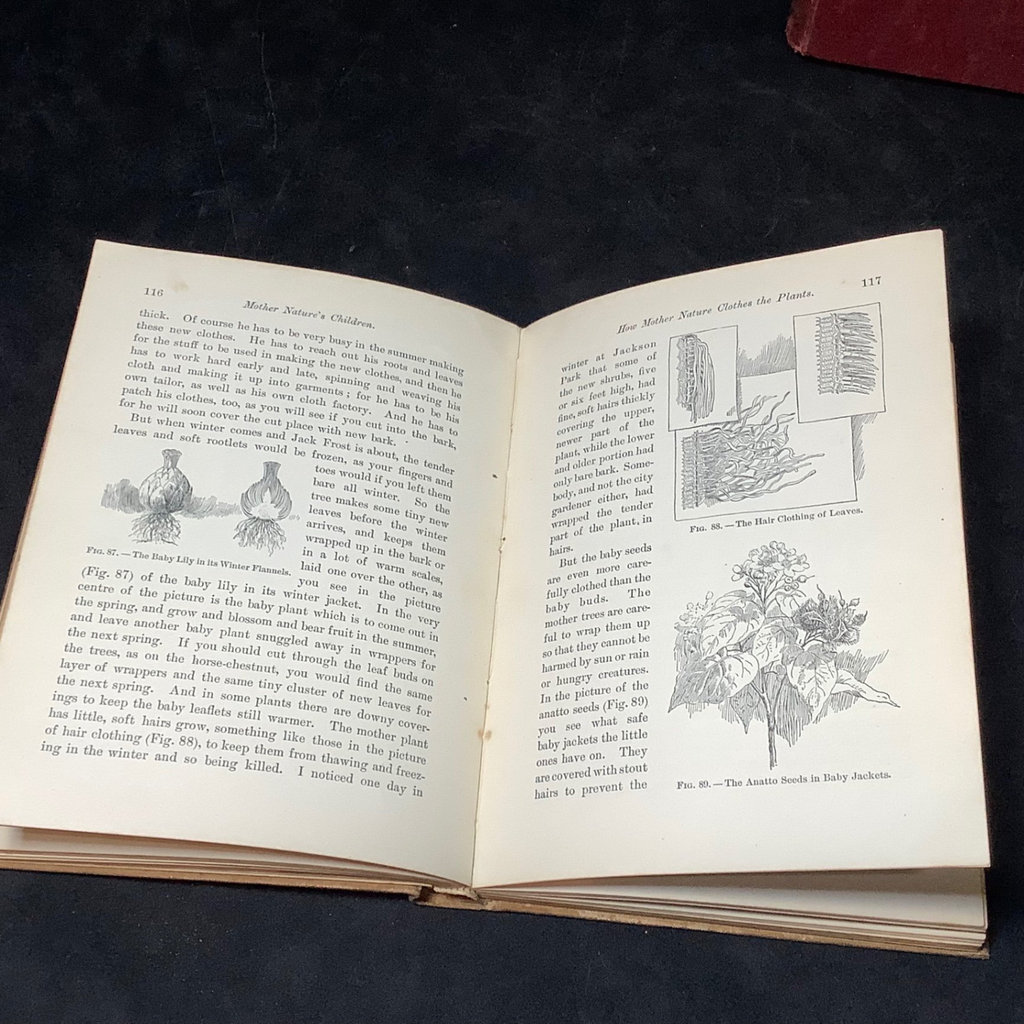 Antique Science & Nature Books - image 15 of 19