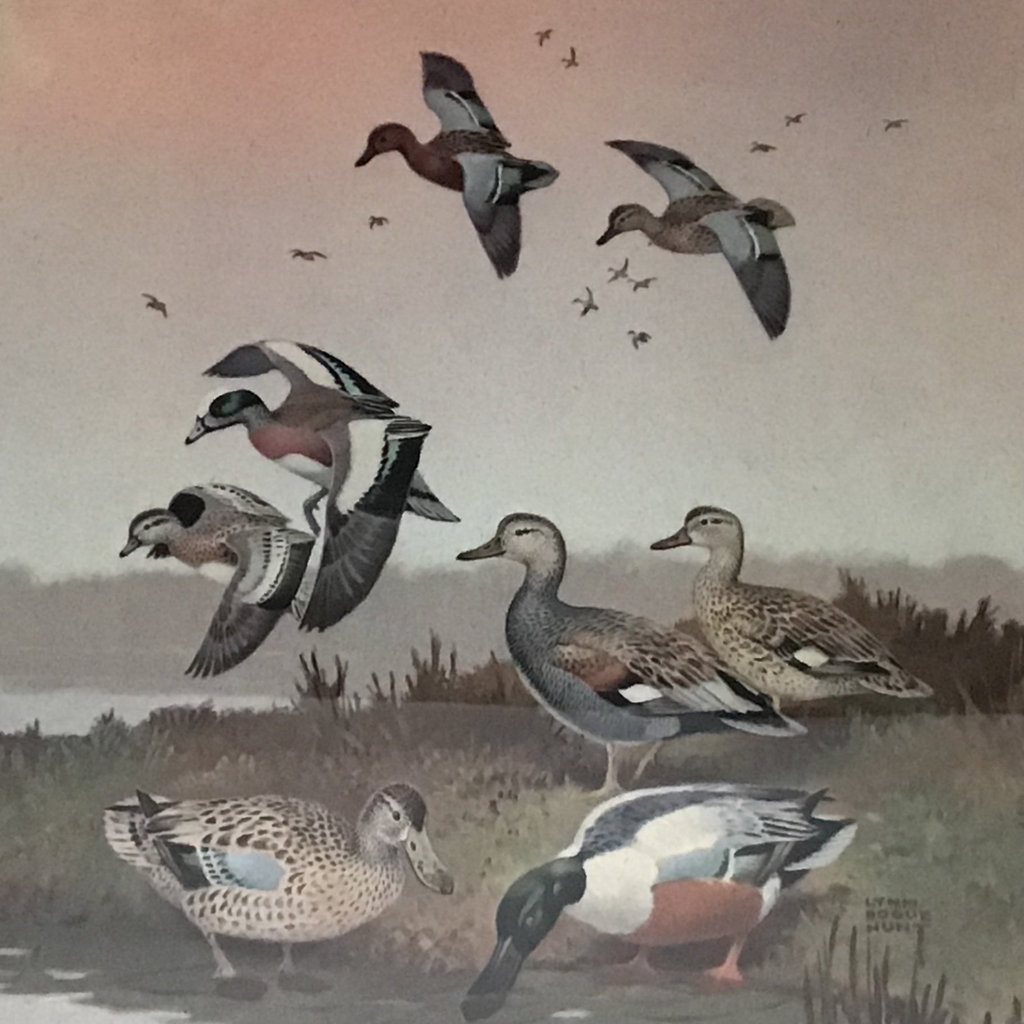 Lynn Bogue Hunt Field & Stream Framed Prints - image 7 of 9