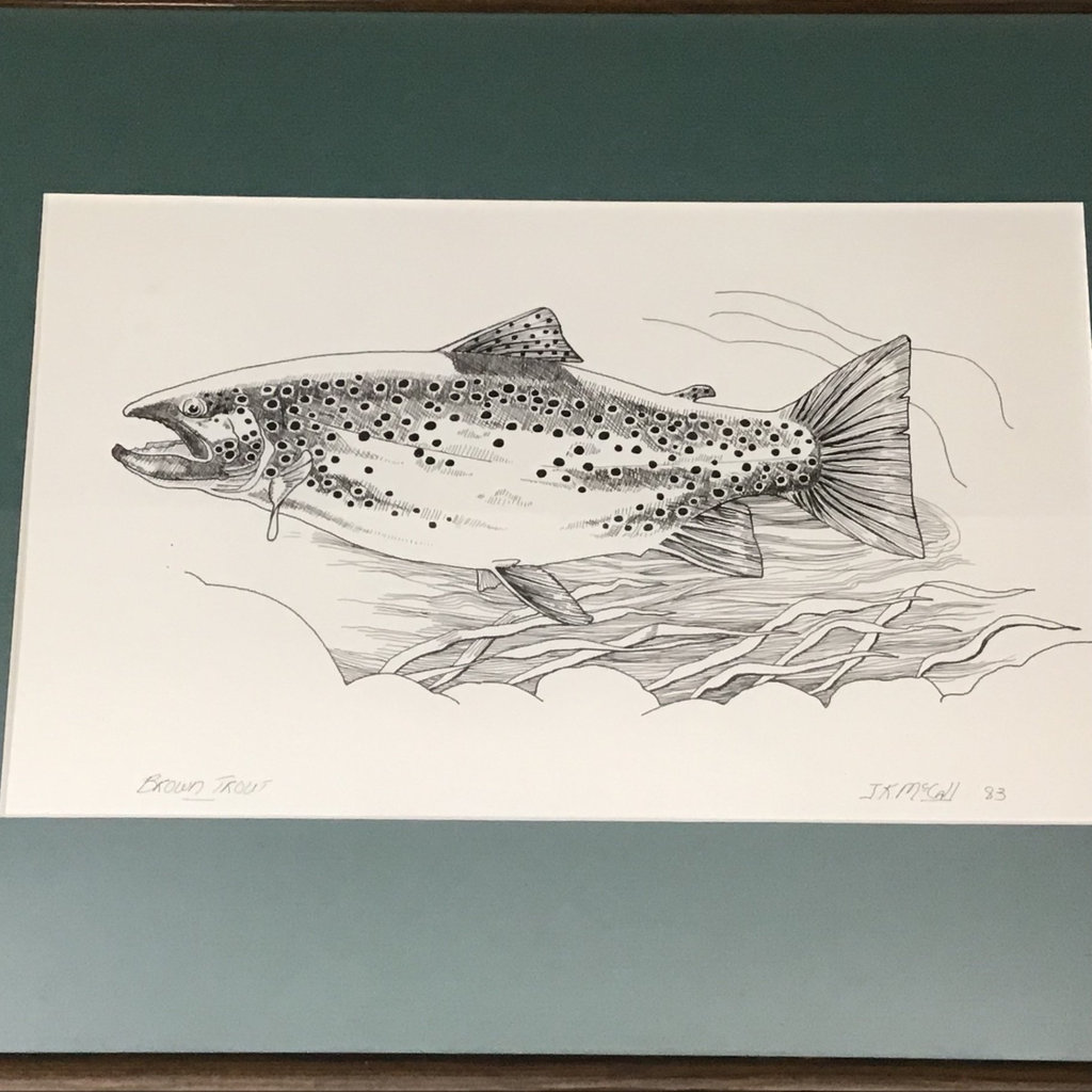 Framed Pen & Ink "Brown Trout" - image 2 of 7