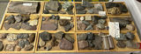 A Collection of Rock and Mineral Specimens - thumbnail 1 of 9