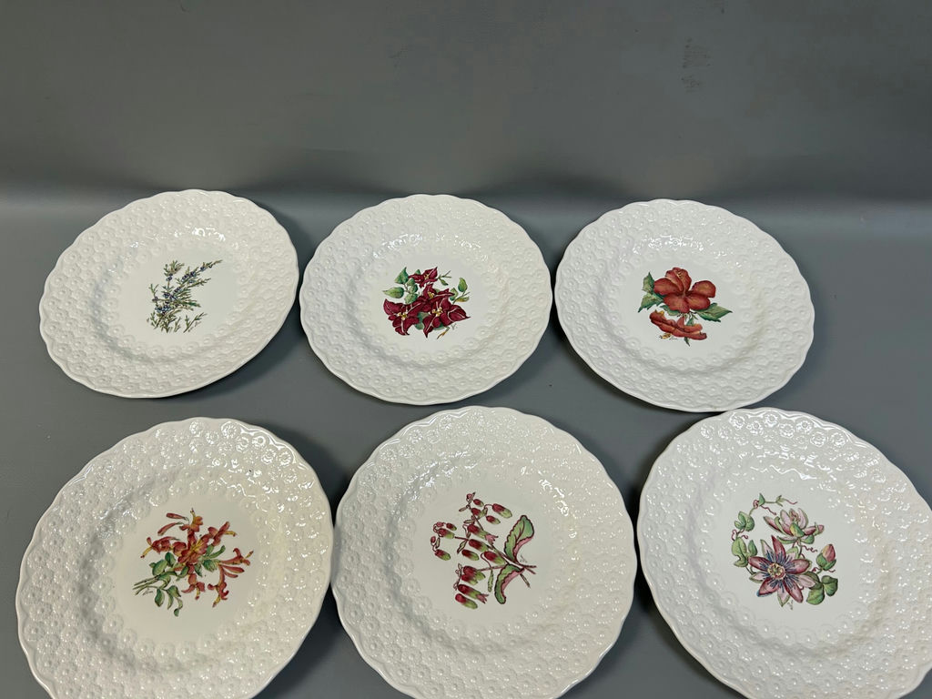 Spode "Bermuda Flowers" Luncheon Plates 12  - image 4 of 5