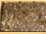 A Collection of Wheat Pennies 750 - thumbnail 2 of 5