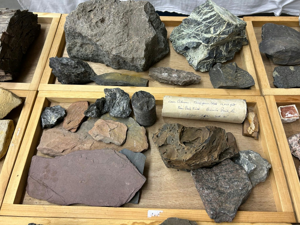 A Collection of Rock and Mineral Specimens - image 6 of 9