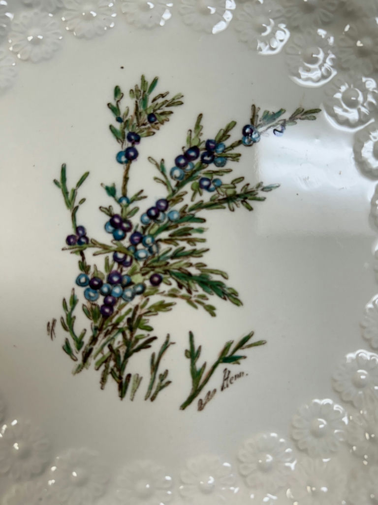 Spode "Bermuda Flowers" Luncheon Plates 12  - image 3 of 5