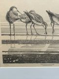Barry Van Dusen Bird Lithographs Signed and Numbered - thumbnail 4 of 8
