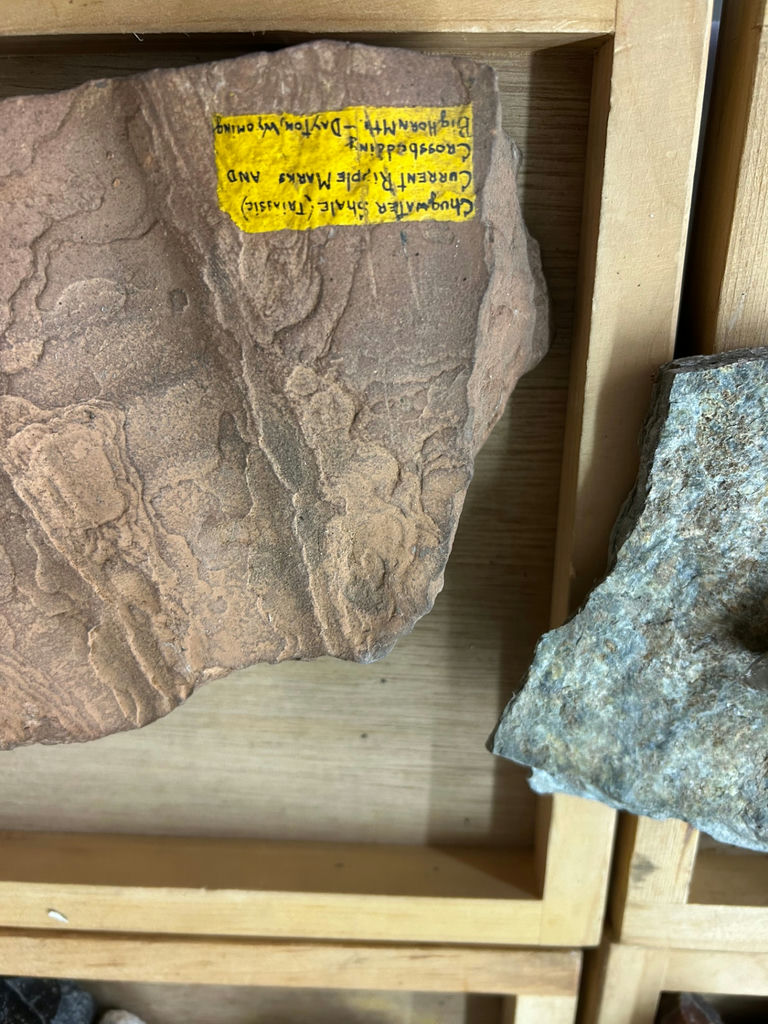 A Collection of Rock and Mineral Specimens - image 2 of 10