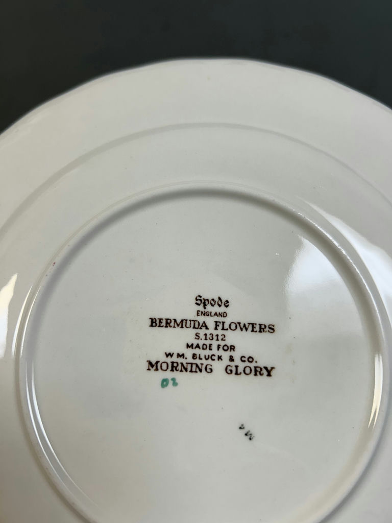 Spode "Bermuda Flowers" Luncheon Plates 12 - image 2 of 5
