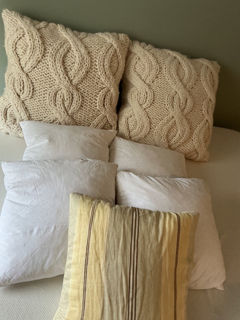 Throw pillows - image 1 of 4