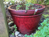 Six outdoor planters - thumbnail 9 of 10