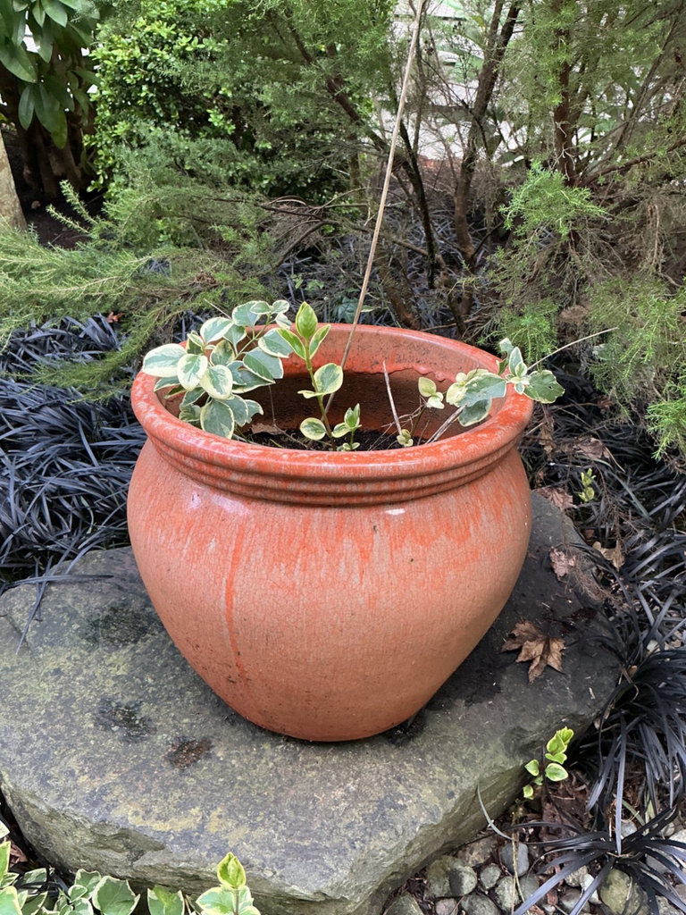 Large terracotta garden planter with handles - image 3 of 3