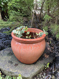 Large terracotta garden planter with handles - thumbnail 3 of 3