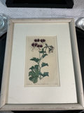X-frame black table, framed botanical print, and fruit-themed decorative tray - thumbnail 4 of 7