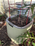 Potted plants and garden containers - thumbnail 1 of 6