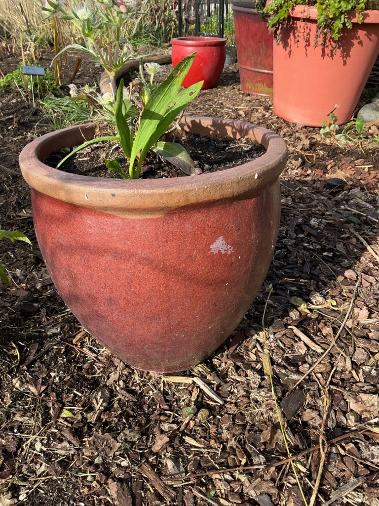 Six outdoor planters - image 3 of 10