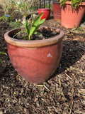 Six outdoor planters - thumbnail 3 of 10