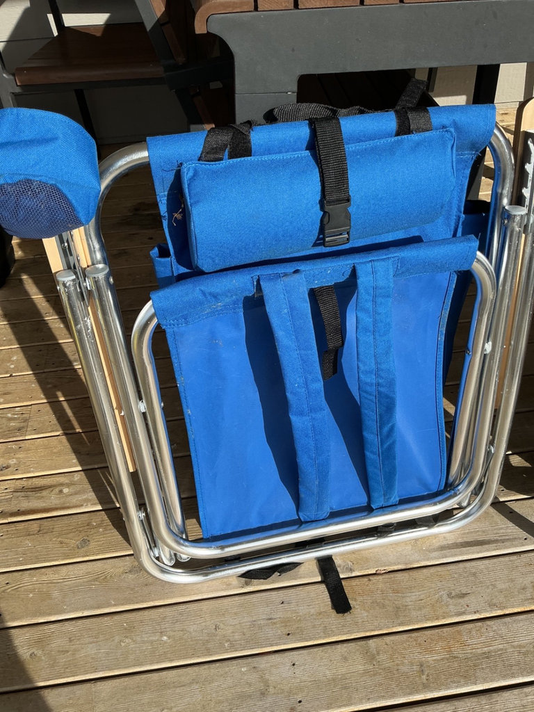 Outdoor lounge chairs and grilling skewers - image 8 of 8