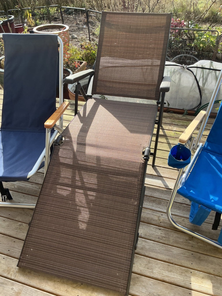Outdoor lounge chairs and grilling skewers - image 6 of 8