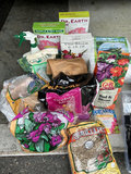 Assorted Gardening Supplies and Planters - thumbnail 5 of 8