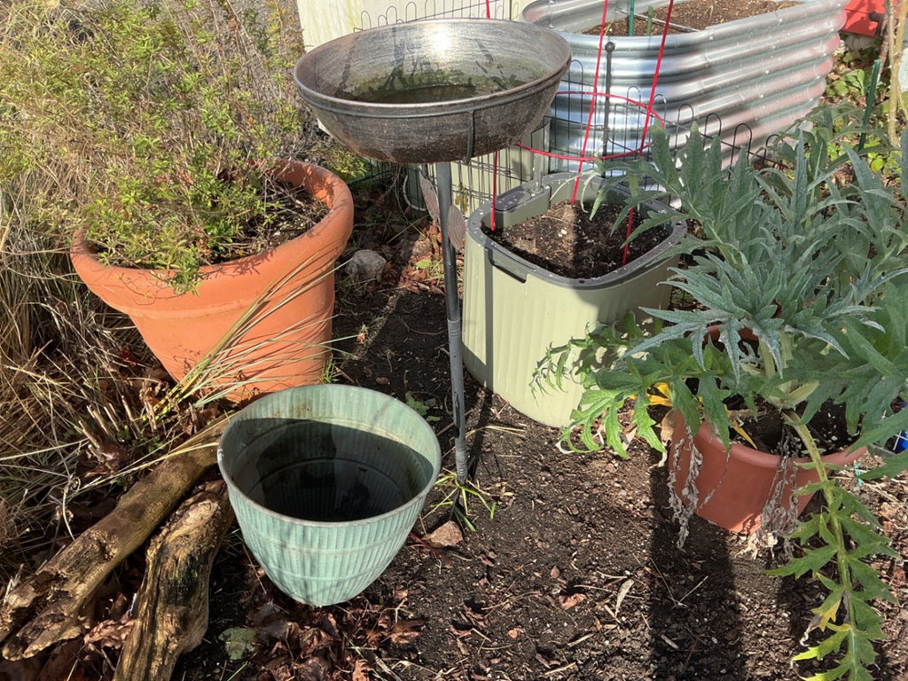 Potted plants and garden containers - image 3 of 6