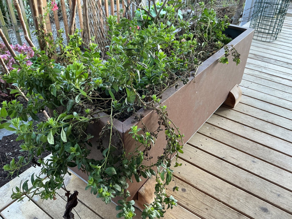 Rectangular rust-colored painted metal planter boxes  - image 3 of 4