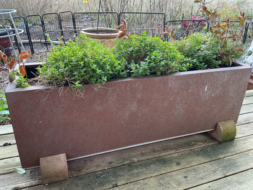 Rectangular rust-colored planters filled with plants - image 2 of 4