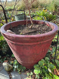 Assorted large Ceramic Garden Planters - thumbnail 2 of 5