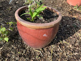 Six outdoor planters - thumbnail 5 of 10