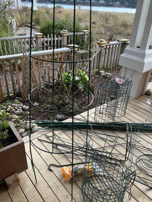 Garden stakes and cages - Image 1 of 5