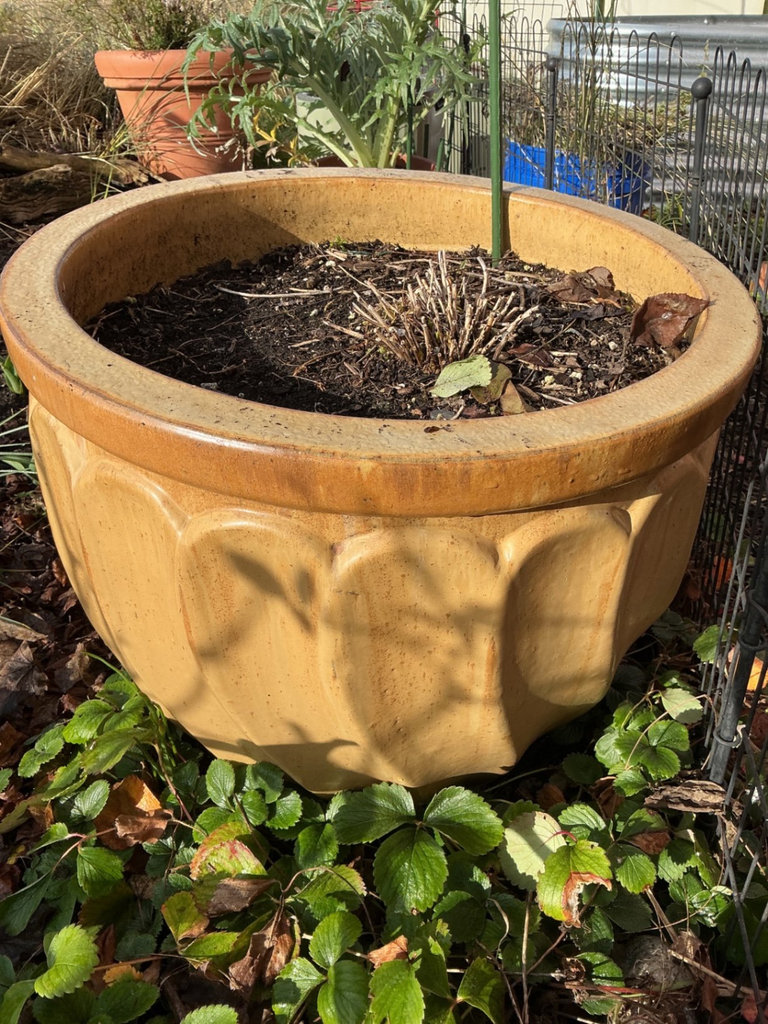 Assorted large Ceramic Garden Planters - image 3 of 5