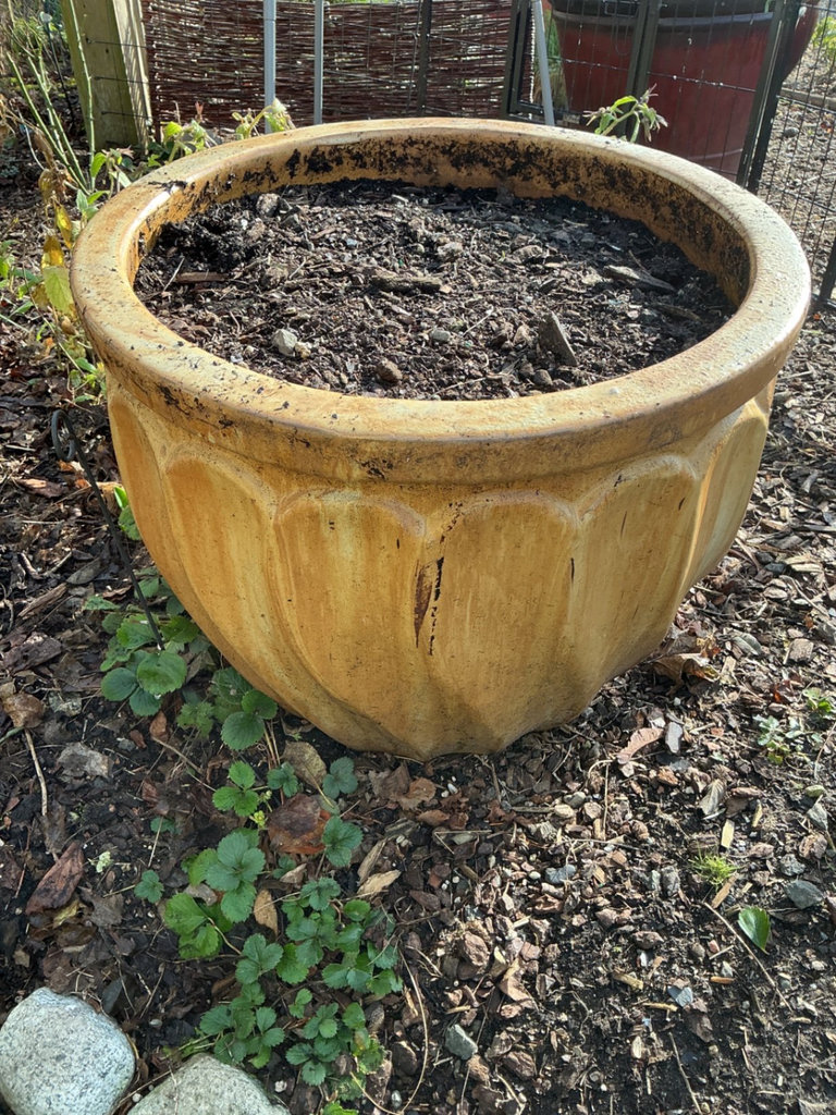 Assorted large Ceramic Garden Planters - image 4 of 5