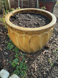 Assorted large Ceramic Garden Planters - thumbnail 4 of 5