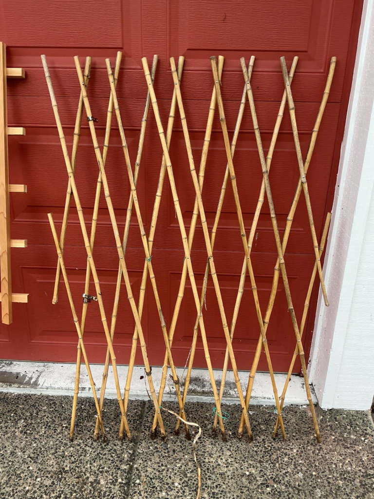 Trellises, solar lights  - image 4 of 7