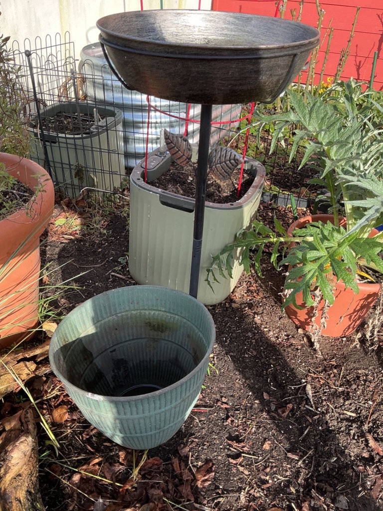Potted plants and garden containers - image 4 of 6
