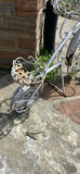 Metal Garden Planter A - thumbnail 12 of 14