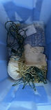 Holiday Decorations and Lights B - thumbnail 8 of 13