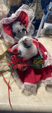 Decorative Dolls and Bears A - thumbnail 13 of 15
