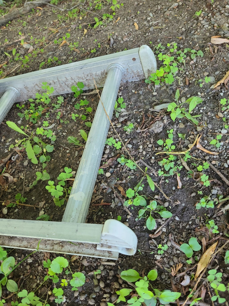 Aluminum Ladder A - image 7 of 8