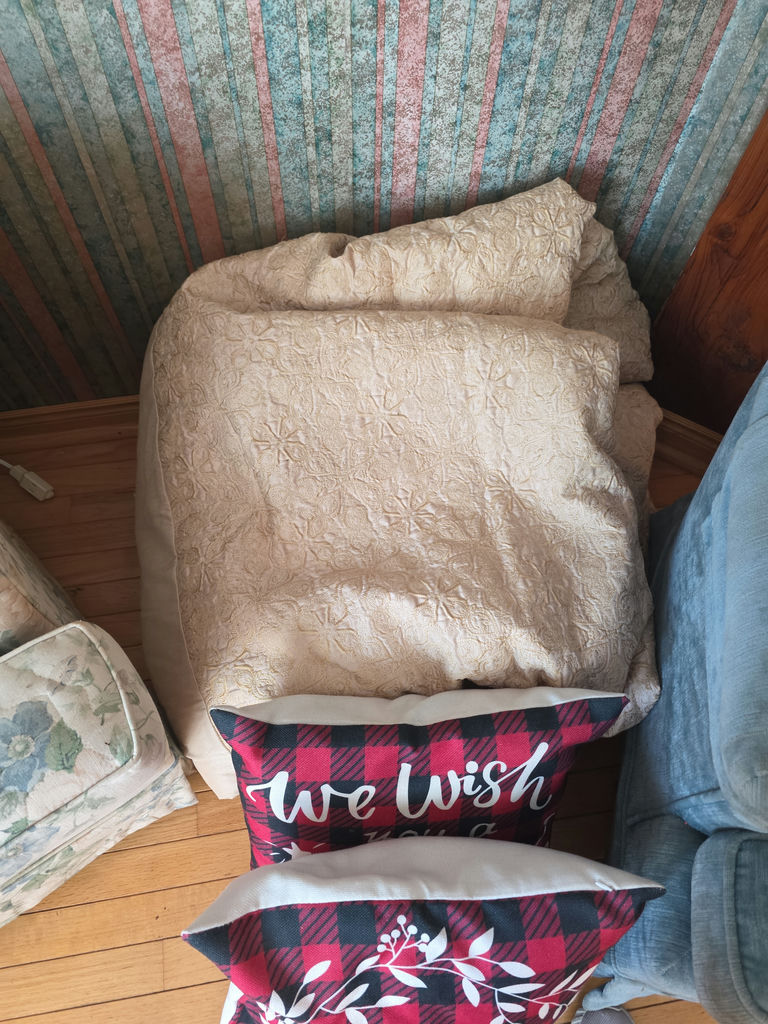 Comforter and Throw Pillows A - image 3 of 4