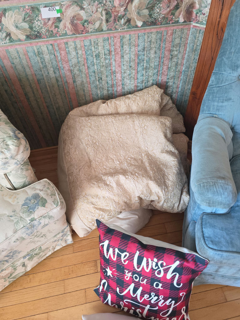 Comforter and Throw Pillows A - image 2 of 4
