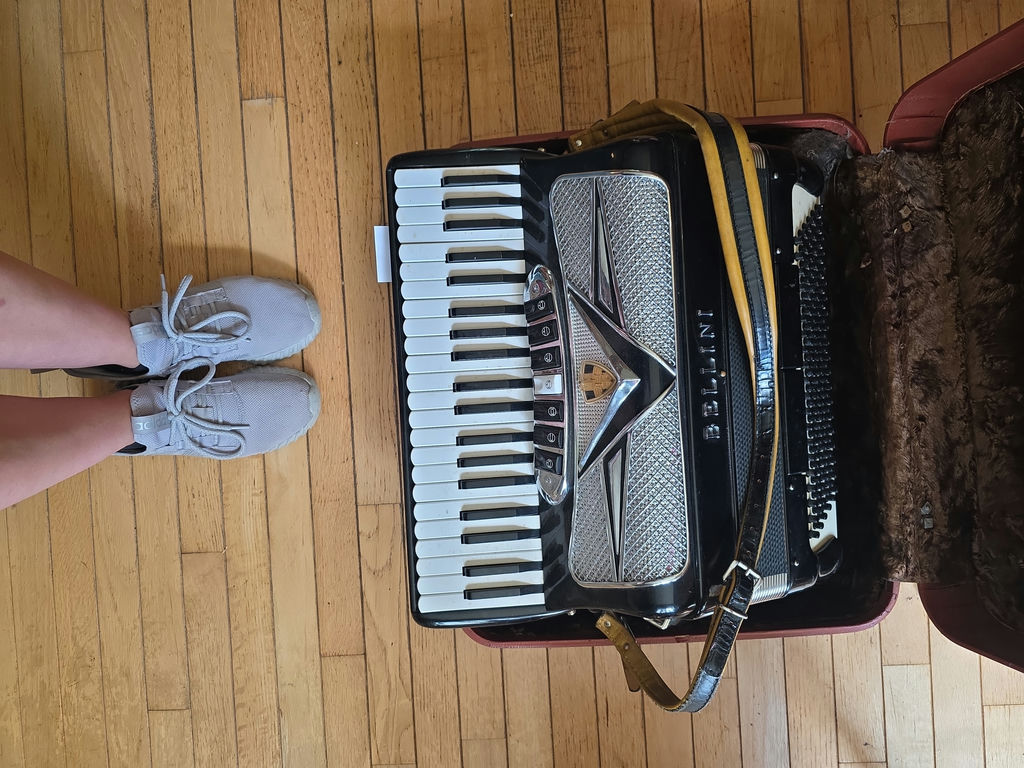 Vintage Accordion A - image 5 of 6