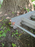 Aluminum ladders B - thumbnail 4 of 10